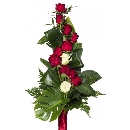 Serpentine Roses