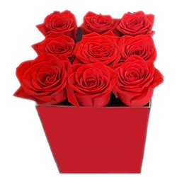 Rose cube