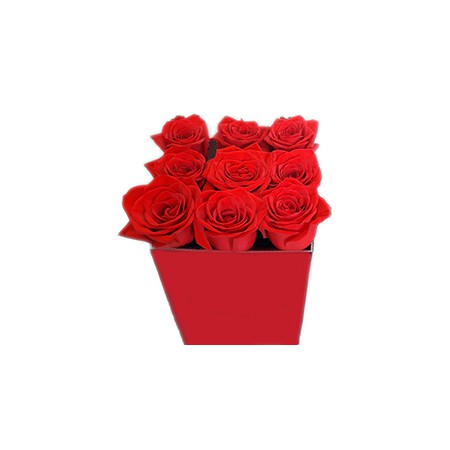 Rose cube
