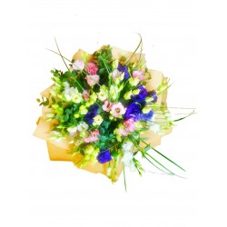 Csak is  Lisianthus