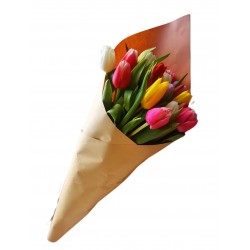 Tulipán tölcsér