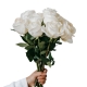 Virágküldés Budapest-White roses with long stem