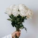 Virágküldés Budapest-White roses with long stem